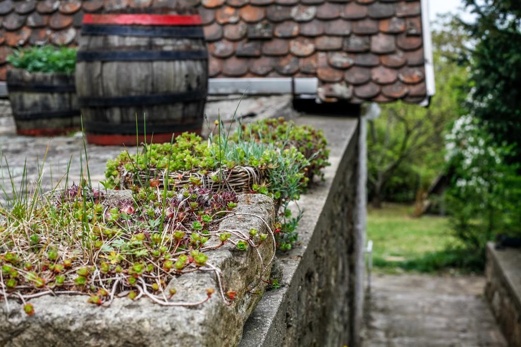 Myrtus Pince és Vendégház Tarcal Chambre photo